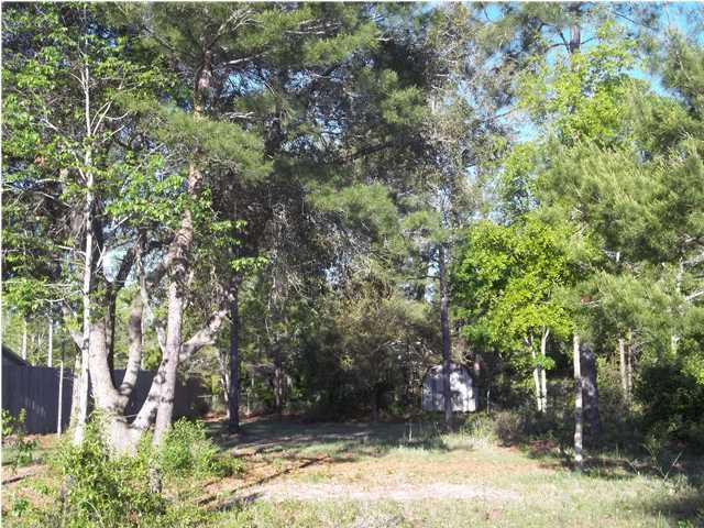 Lot 25 Morrison Ave Point Santa Rosa Beach, FL 32459 - Photo 2 of 4 Additional Photo