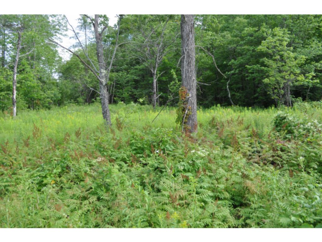 0 Stewart Road Wilmot, NH 03287 - Photo 1 of 2 Gallery Image 1