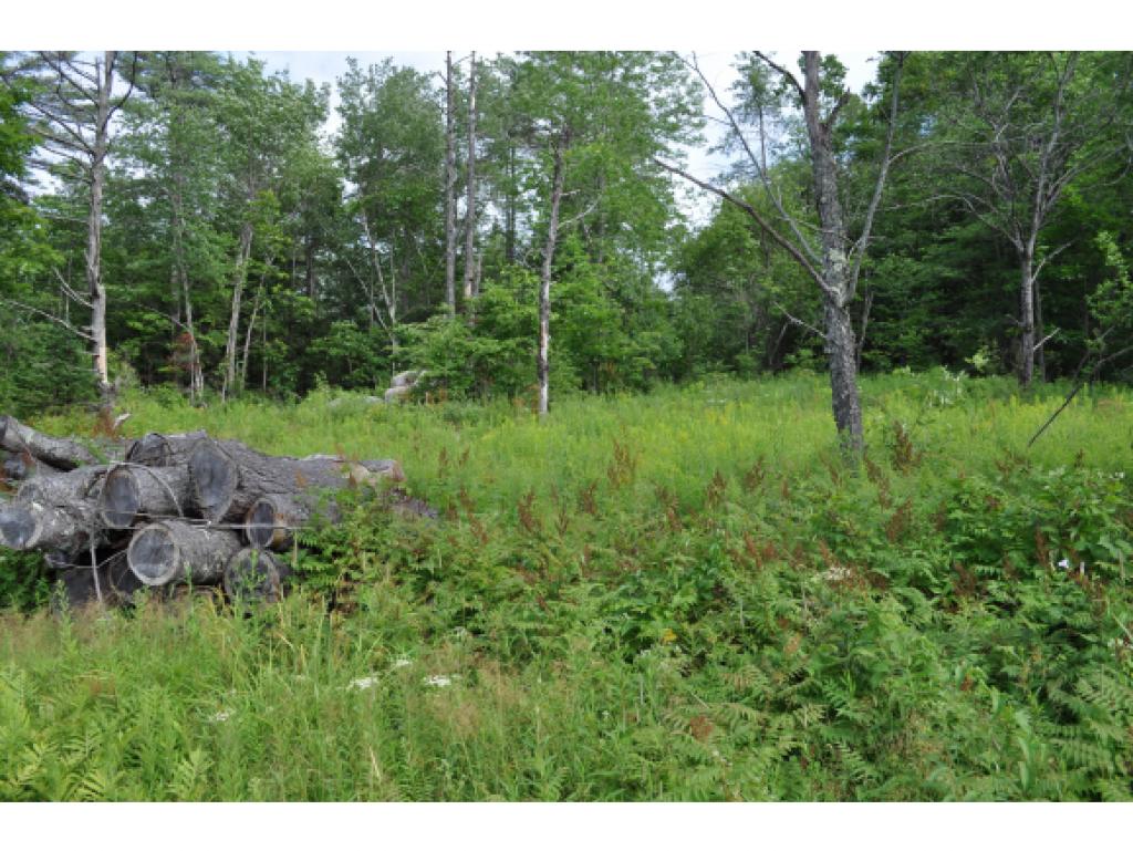 0 Stewart Road Wilmot, NH 03287 - Photo 2 of 2 Gallery Image 2