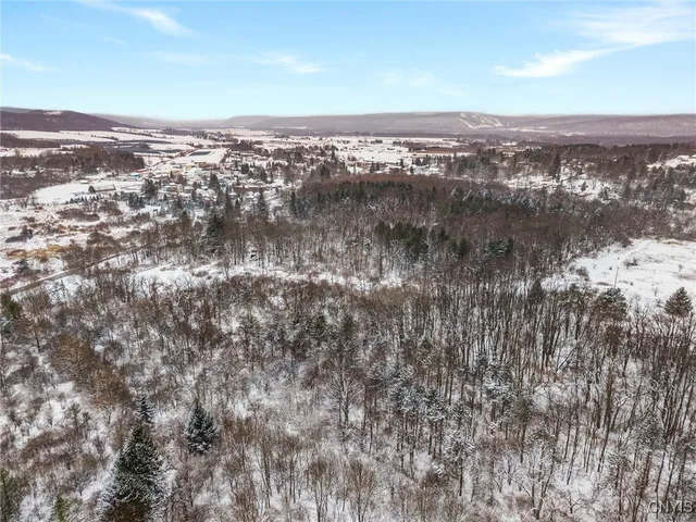 $479,000 | 55 Clinton Street, Tully, NY 13159