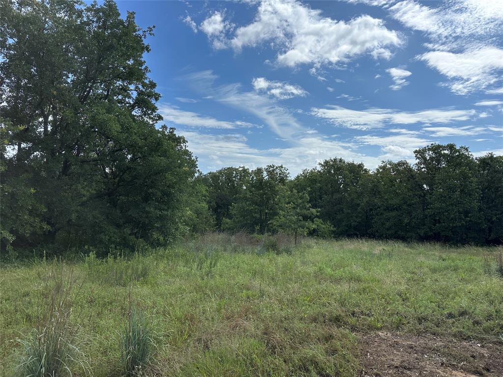 570 Big Salty Lane Springtown, TX 76082 - Photo 34 of 36 Expansive parcel featuring mature trees, open grassy areas, and a naturally vegetated perimeter