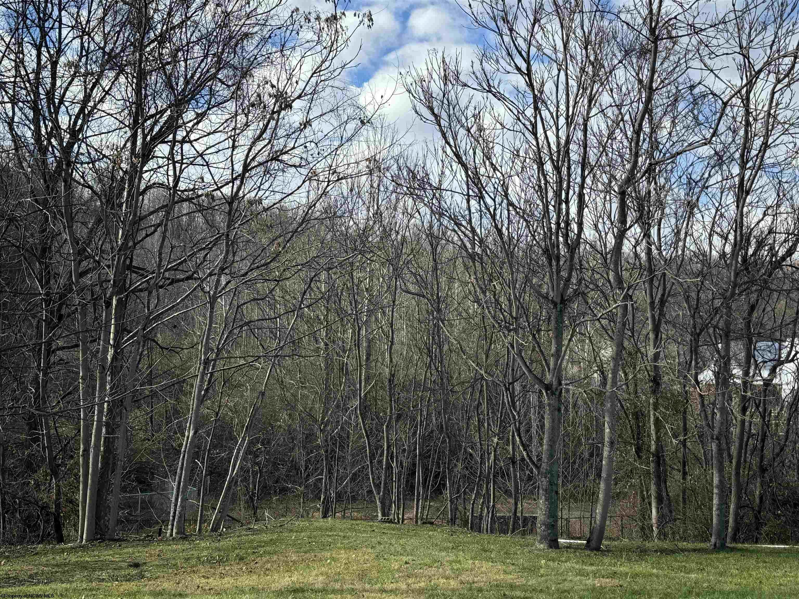 Tbd Tbd Anmoore Anmoore, WV 26323 - Photo 1 of 2 Gallery Image 1