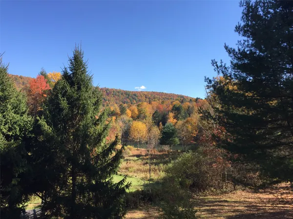 $750,000 | 2522 Bouchouxville Road, Hancock, NY 13783