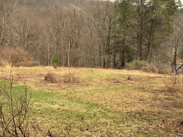 $750,000 | 2522 Bouchouxville Road, Hancock, NY 13783