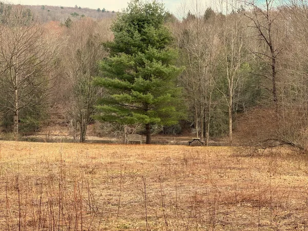 $750,000 | 2522 Bouchouxville Road, Hancock, NY 13783