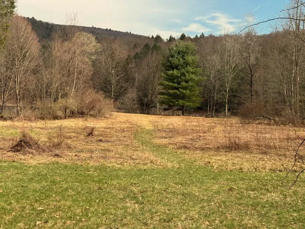 $750,000 | 2522 Bouchouxville Road, Hancock, NY 13783