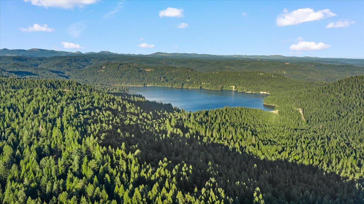 19975 Scotts Flat Road Nevada City, CA 95959 - Photo 11 of 55 Minutes to Scotts Flat Lake