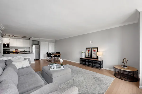 a living room with furniture rug and window