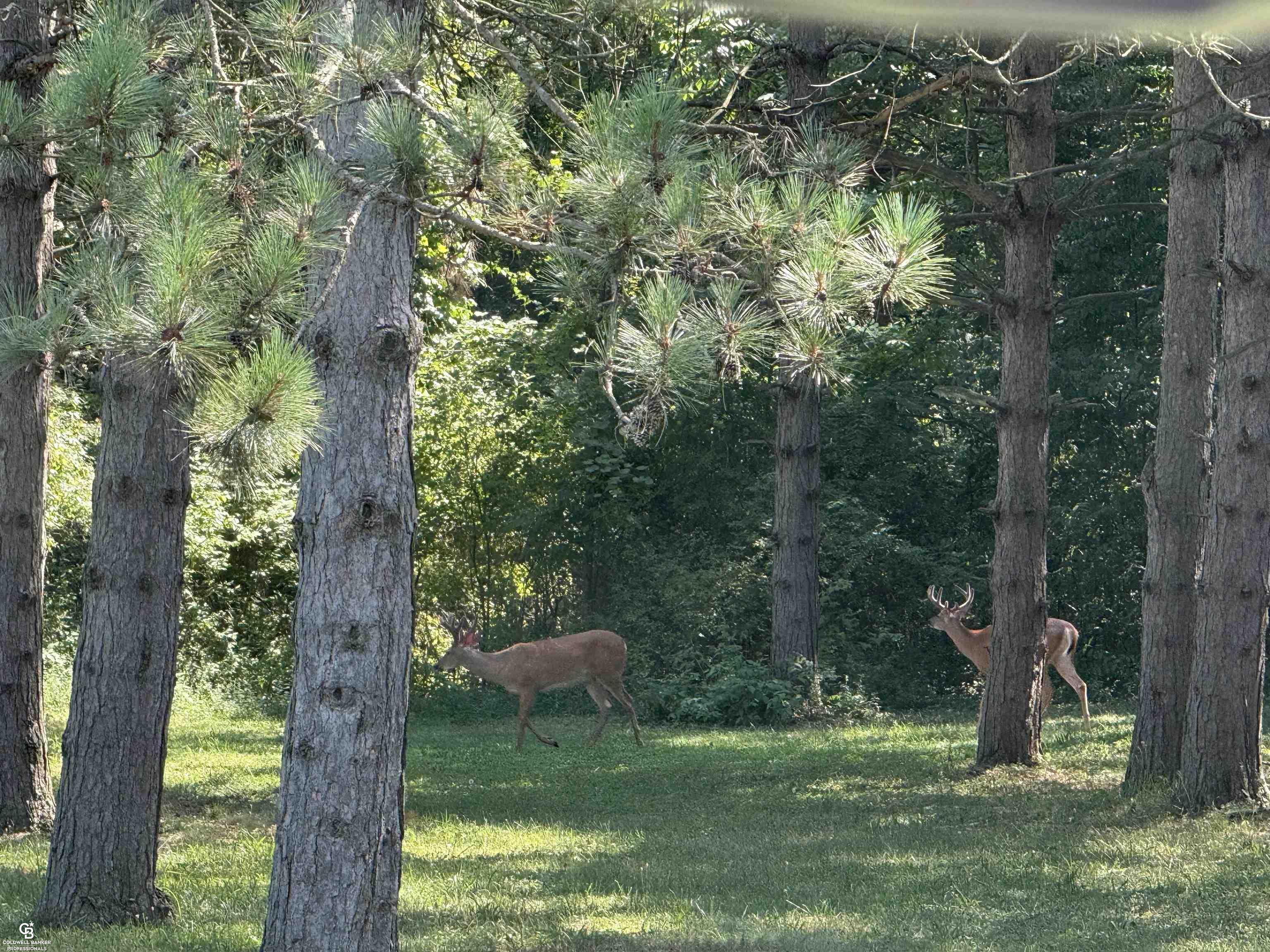 7171 Hewitt Road Jeddo, MI 48032 - Photo 45 of 47