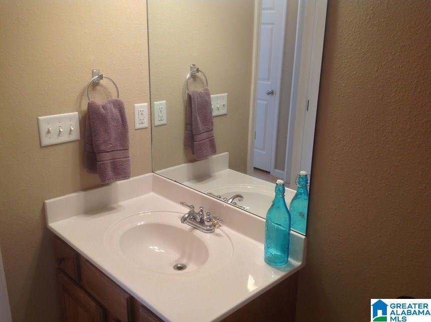 233 Forest Village Lane Alabaster, AL 35007 - Photo 18 of 24