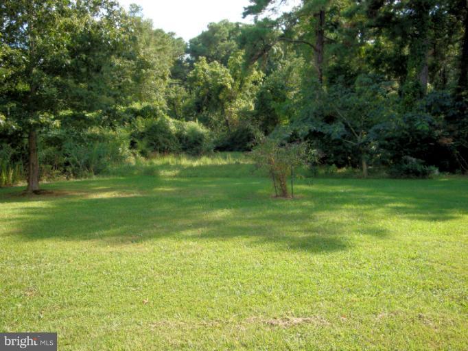 16236 Pine Tree Lane Ridge, MD 20680 - Photo 22 of 30 a view of a grassy field with trees