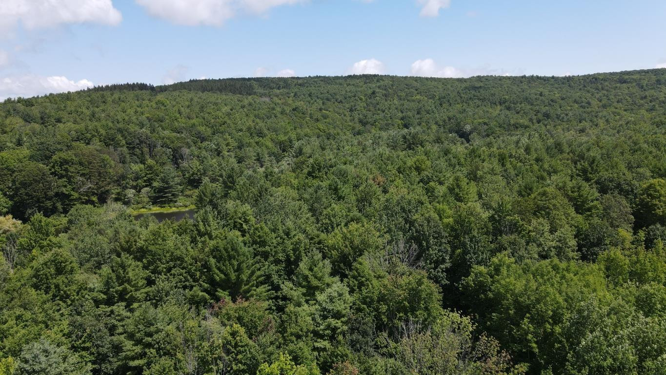460 Brooky Hollow Road Middleburgh, NY 12122 - Photo 11 of 31 Photo 11