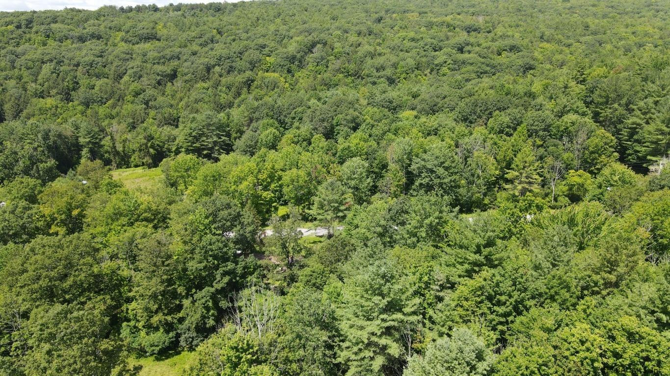 460 Brooky Hollow Road Middleburgh, NY 12122 - Photo 12 of 31 Photo 12