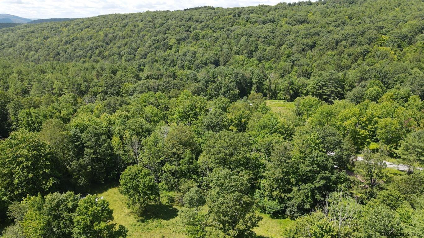 460 Brooky Hollow Road Middleburgh, NY 12122 - Photo 13 of 31 Photo 13