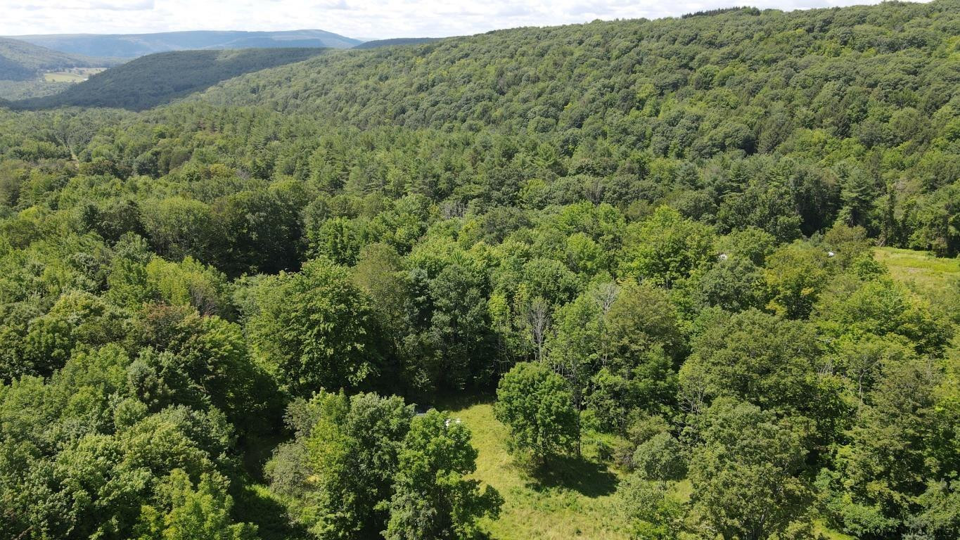 460 Brooky Hollow Road Middleburgh, NY 12122 - Photo 14 of 31 Photo 14