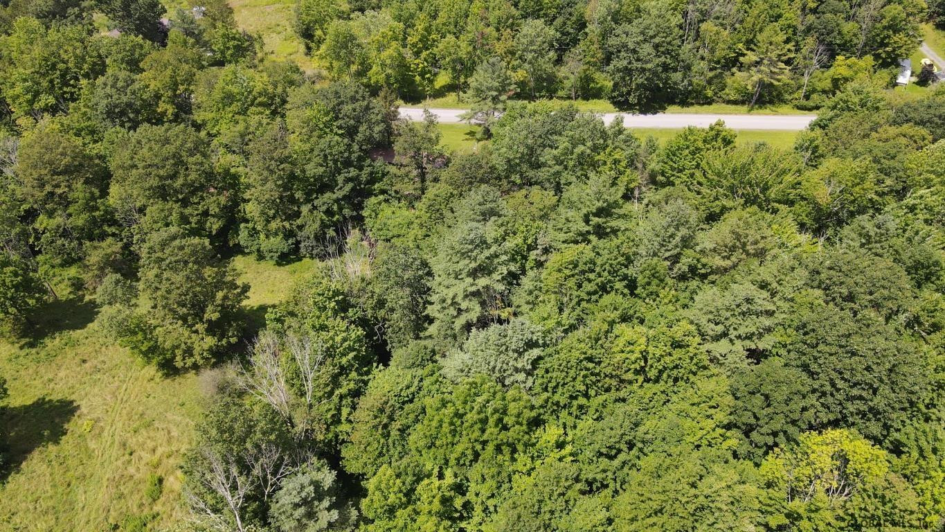 460 Brooky Hollow Road Middleburgh, NY 12122 - Photo 17 of 31 Photo 17