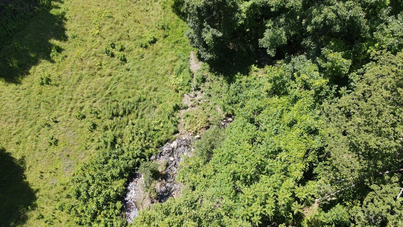 460 Brooky Hollow Road Middleburgh, NY 12122 - Photo 24 of 31 Photo 24