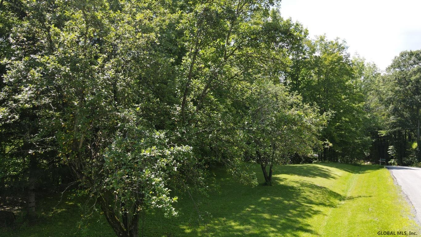 460 Brooky Hollow Road Middleburgh, NY 12122 - Photo 4 of 31 Photo 4