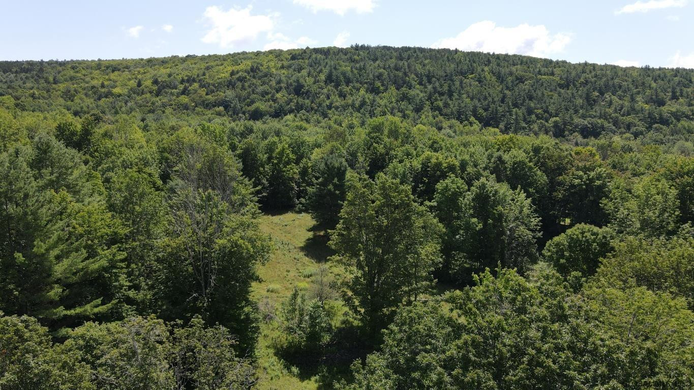 460 Brooky Hollow Road Middleburgh, NY 12122 - Photo 5 of 31 Photo 5