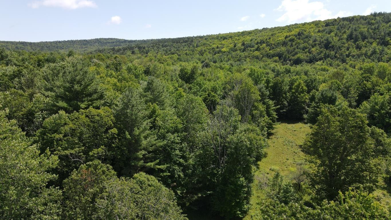 460 Brooky Hollow Road Middleburgh, NY 12122 - Photo 7 of 31 Photo 7
