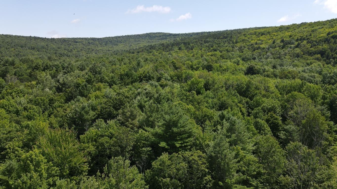 460 Brooky Hollow Road Middleburgh, NY 12122 - Photo 8 of 31 Photo 8