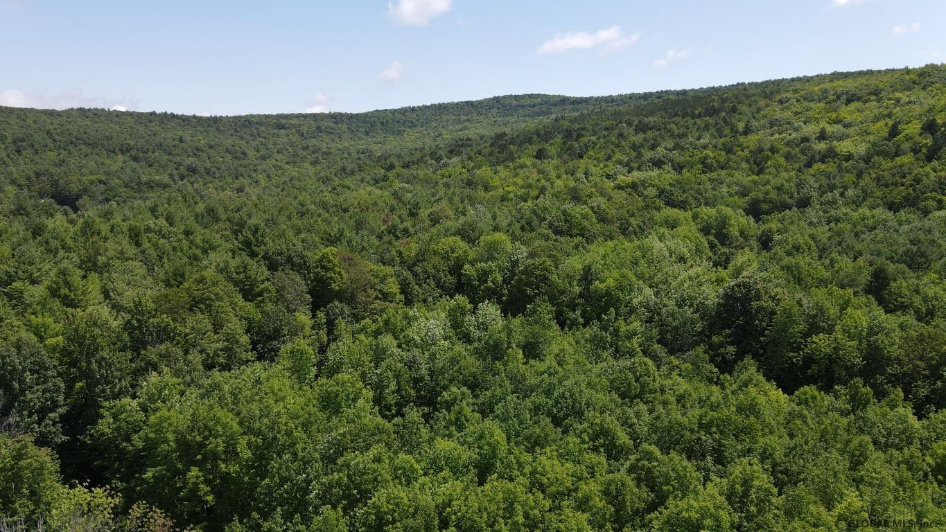 460 Brooky Hollow Road Middleburgh, NY 12122 - Photo 10 of 31 Photo 10