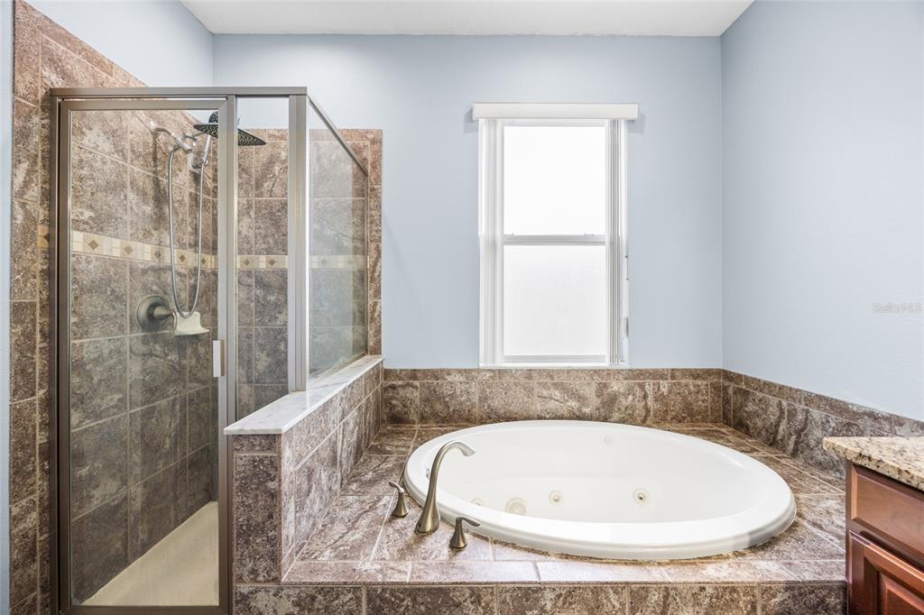 3851 Pacente Loop Wesley Chapel, FL 33543 - Photo 19 of 38