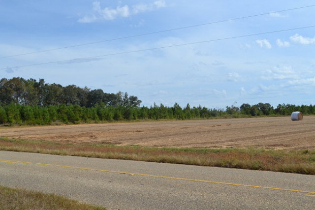 Tba Green Frog Road Pansey, AL 36370 - Photo 1 of 1
