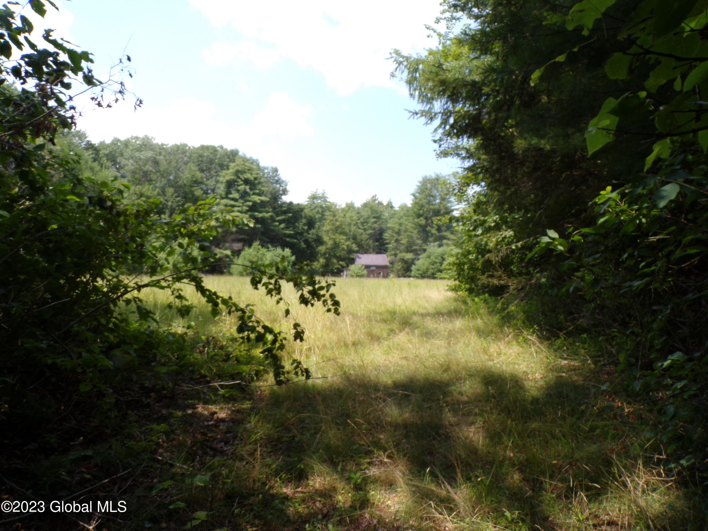 L21 Schroon River Road Warrensburg, NY 12885 - Photo 13 of 14 Birk Meadow