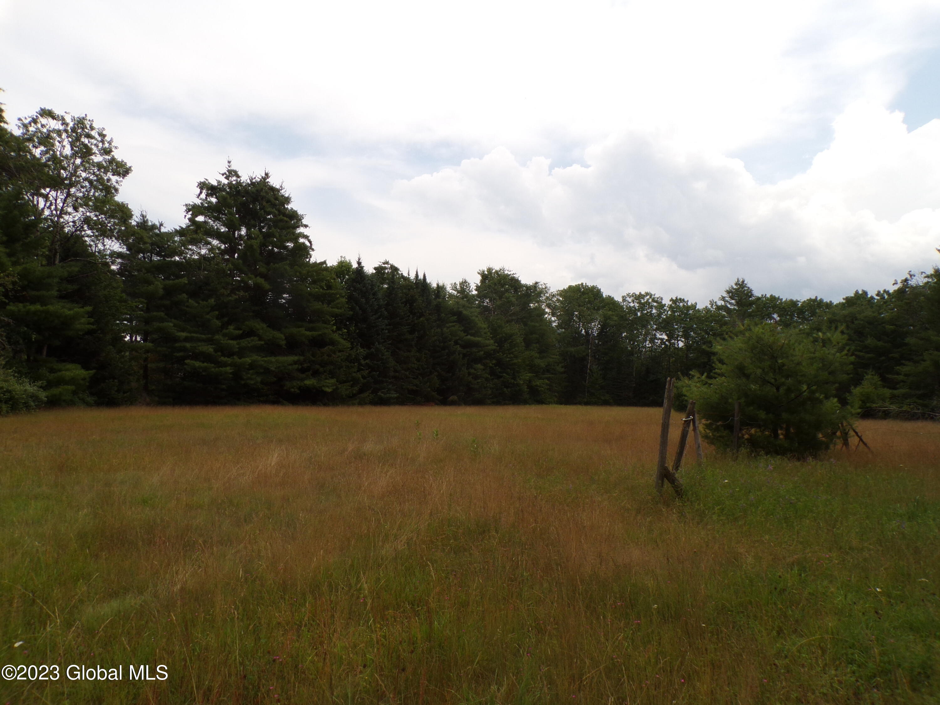 L21 Schroon River Road Warrensburg, NY 12885 - Photo 2 of 14 Birk field