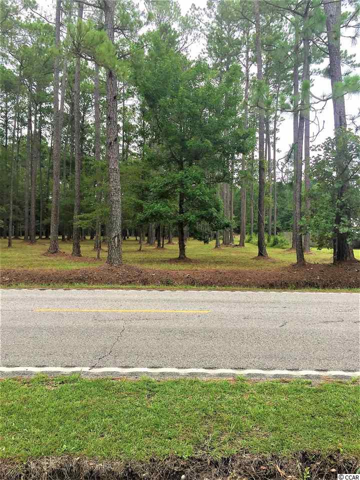 Lot E-2 Lot E-2 Wedgefield Road Georgetown, SC 29440 - Photo 1 of 1 Gallery Image 1