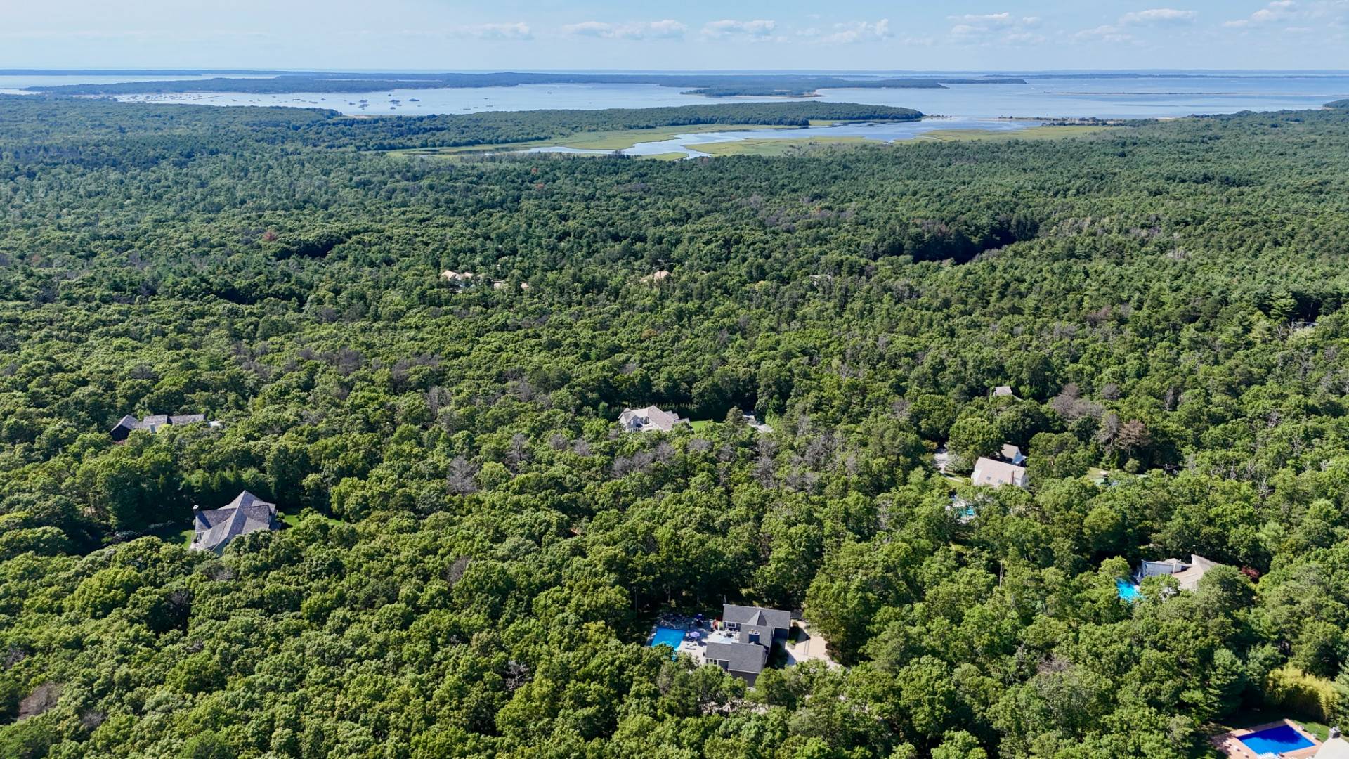 14 High Ridge Road East Hampton, NY 11937 - Photo 8 of 43 a view of a lush green forest