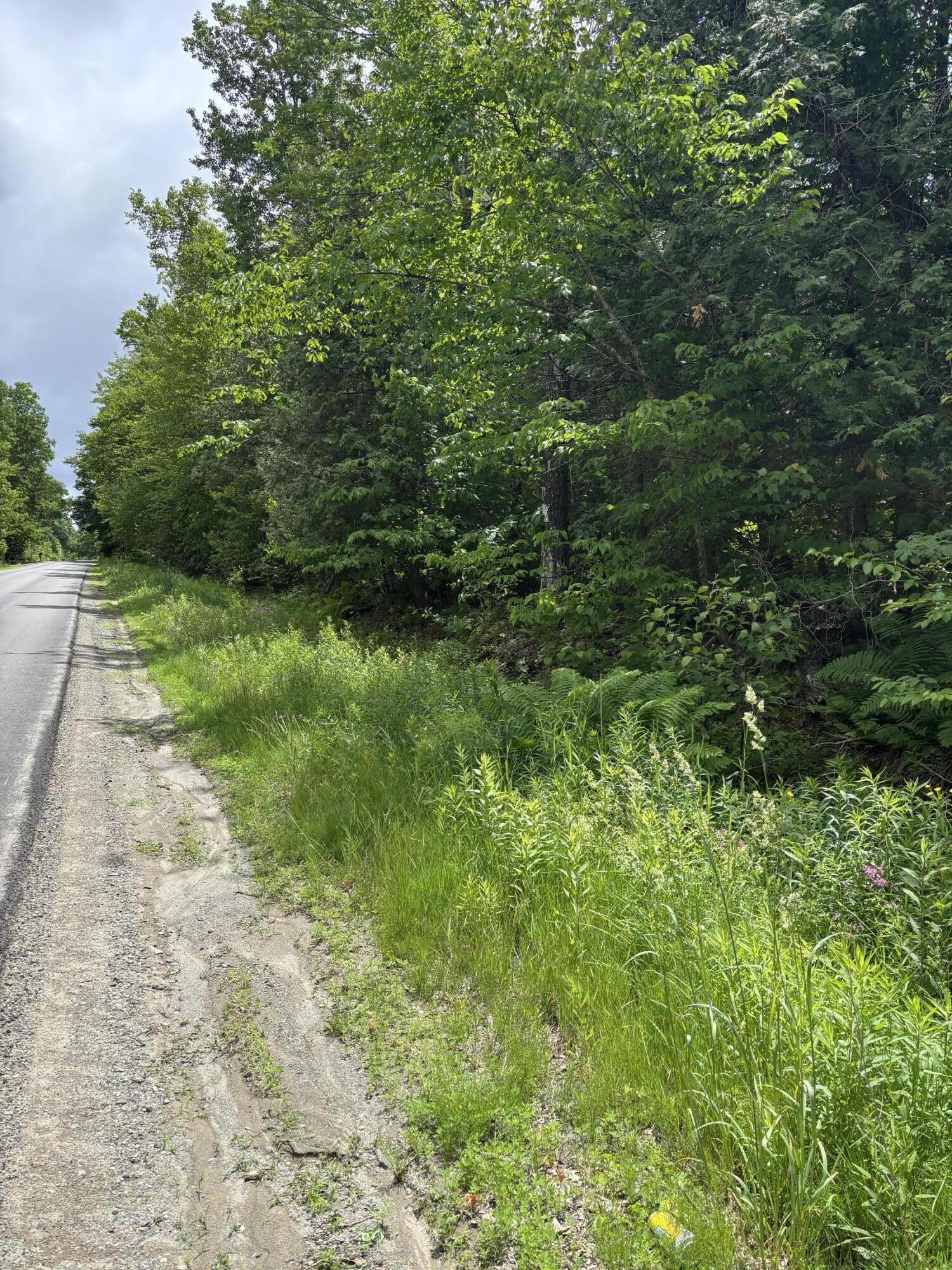 # Ledge Hill Road Corinth, ME 04427 - Photo 6 of 6 View of across the road