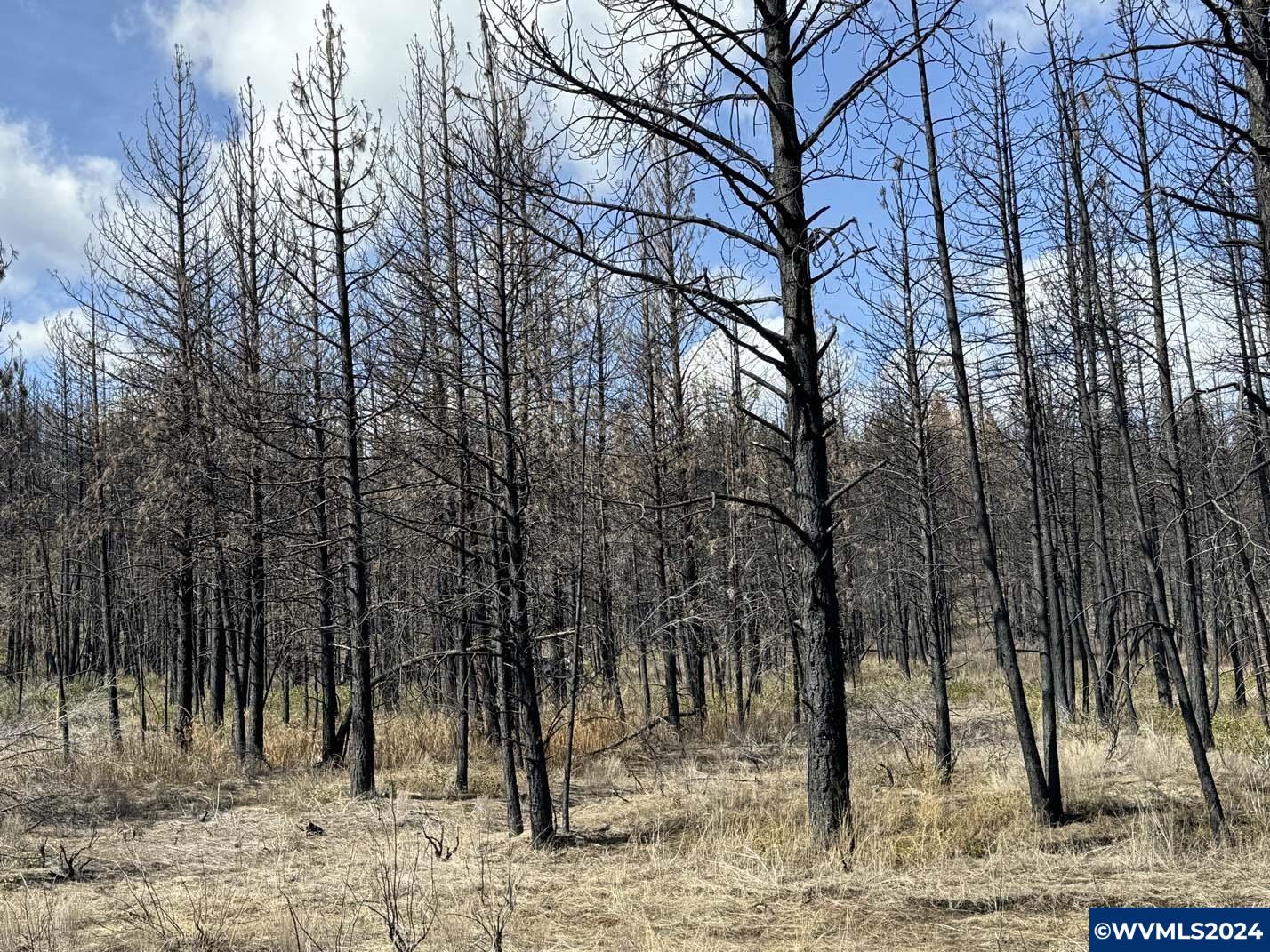 800 Nf 4464 Road Chiloquin, OR 97624 - Photo 19 of 25
