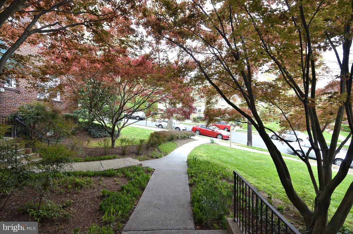 4029 Benton Street Northwest, Unit 302 Washington, DC 20007 - Photo 17 of 27 a view of a garden with a tree