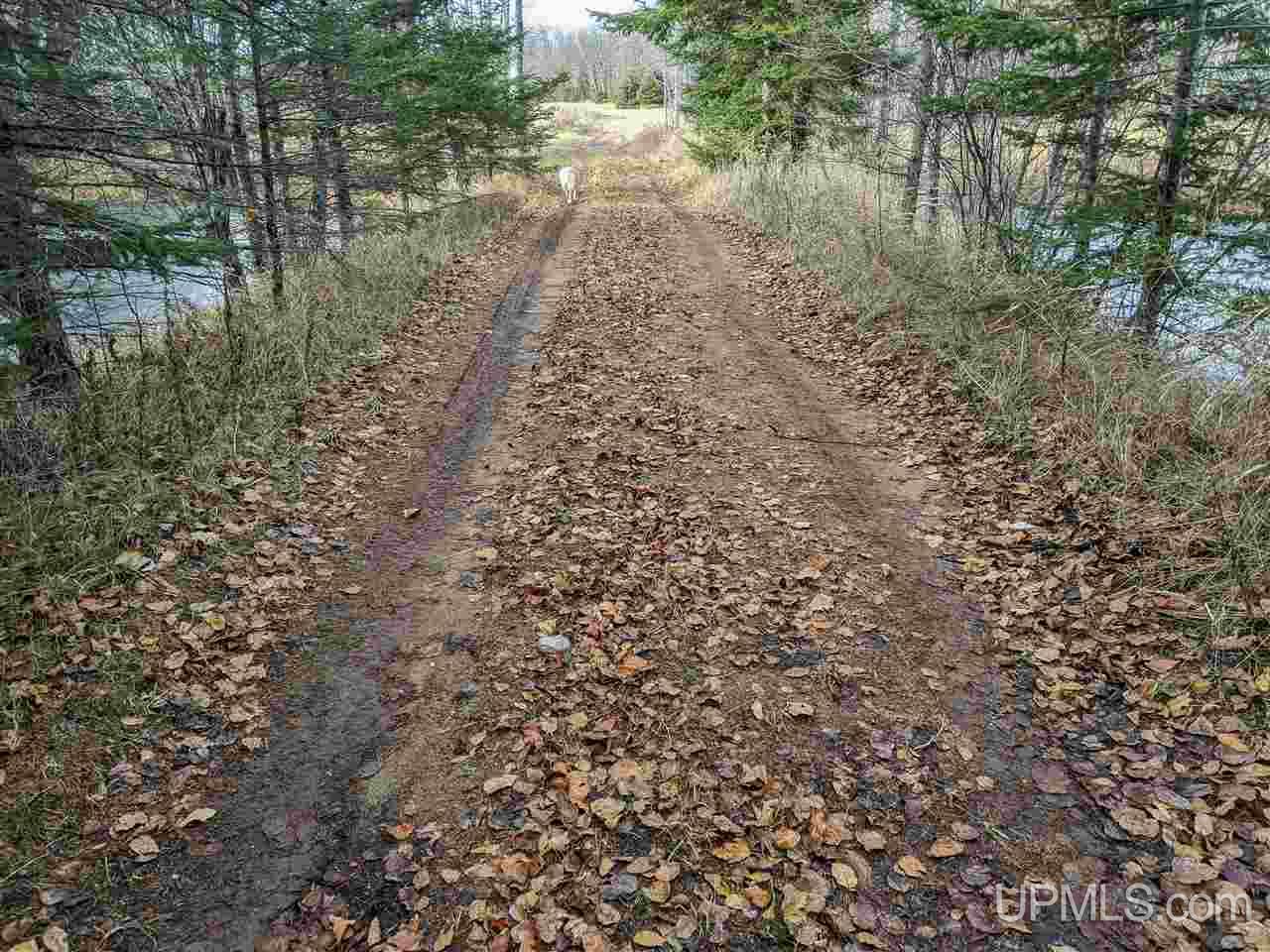 11851 Co Road Cornell, MI 49818 - Photo 38 of 49