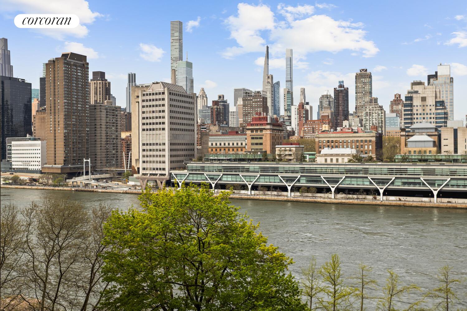 531 Main Street, Unit 920 Manhattan, NY 10044 - Photo 11 of 22