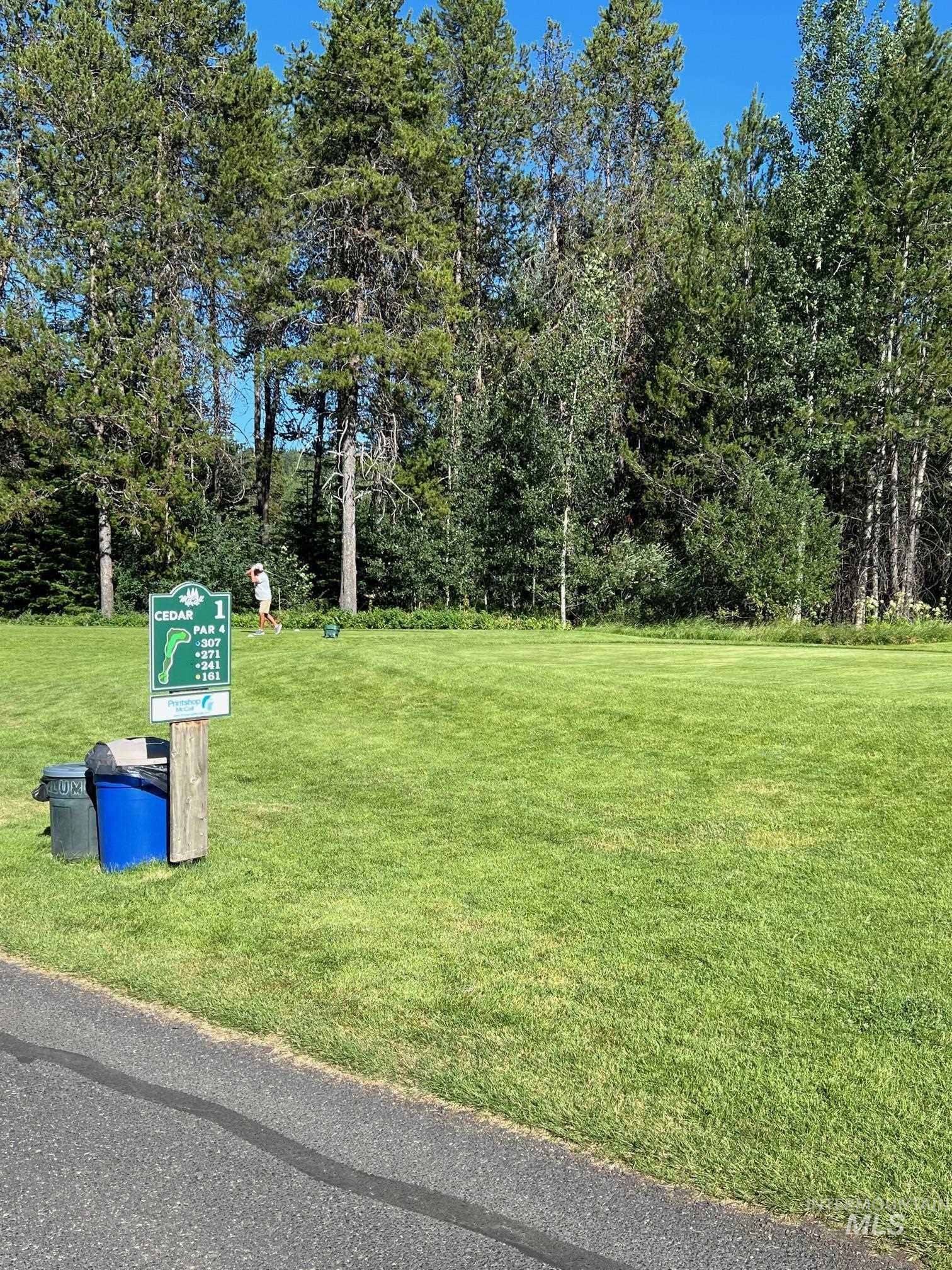 321 Mountain Cove Court McCall, ID 83638 - Photo 12 of 43