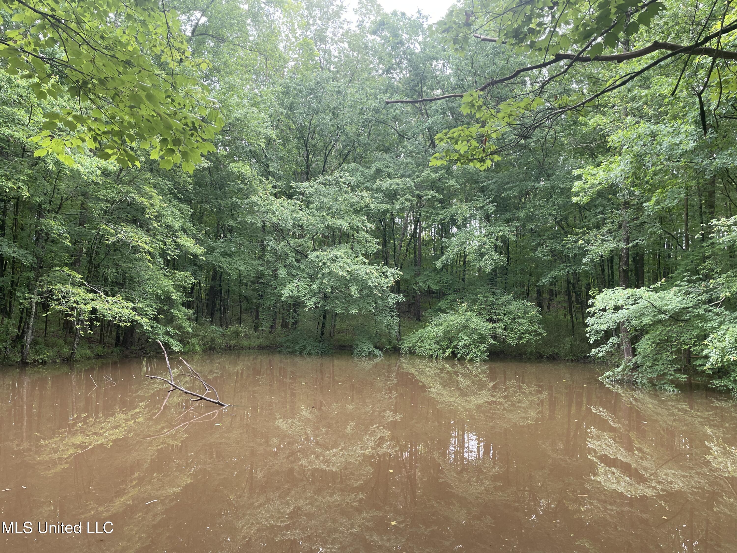 205 County Road Mantee, MS 39751 - Photo 13 of 20 Photo May 19 2023, 11 19 21 AM