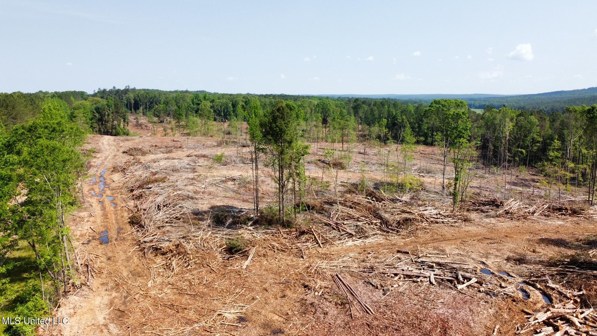 205 County Road Mantee, MS 39751 - Photo 4 of 20 dji_fly_20230515_104402_747_168429012114