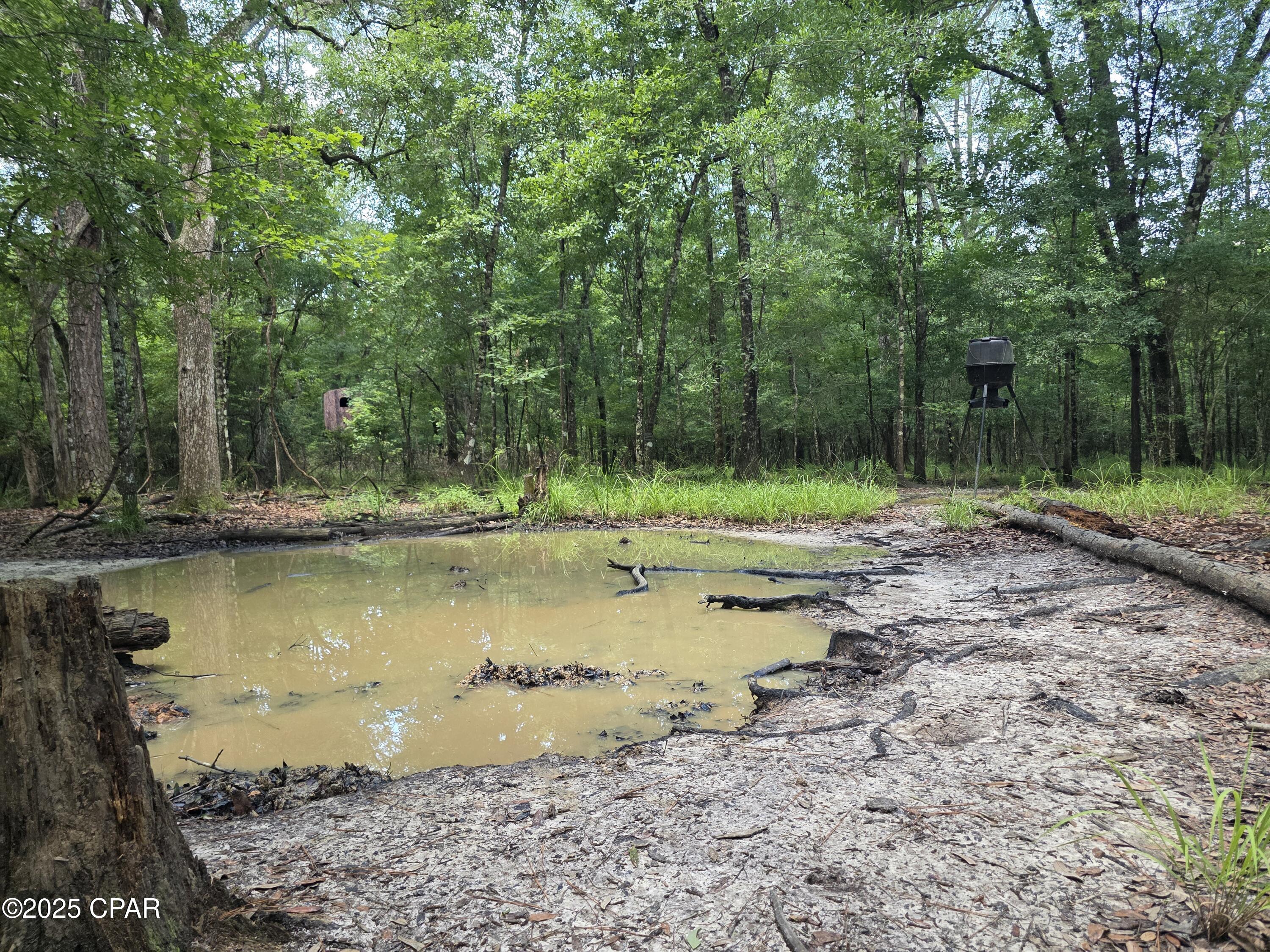 0 River Road Bascom, FL 32423 - Photo 11 of 20