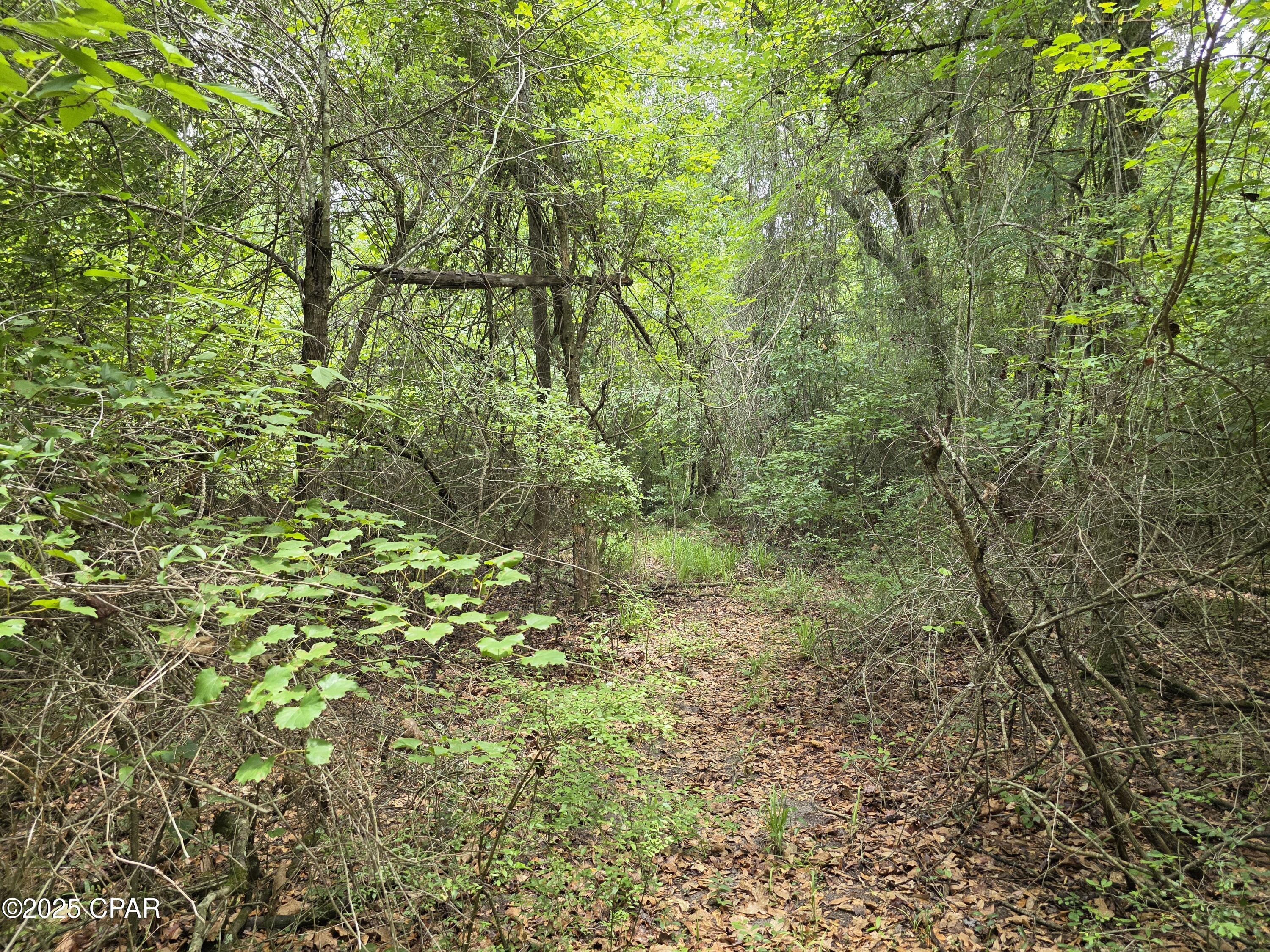 0 River Road Bascom, FL 32423 - Photo 16 of 20