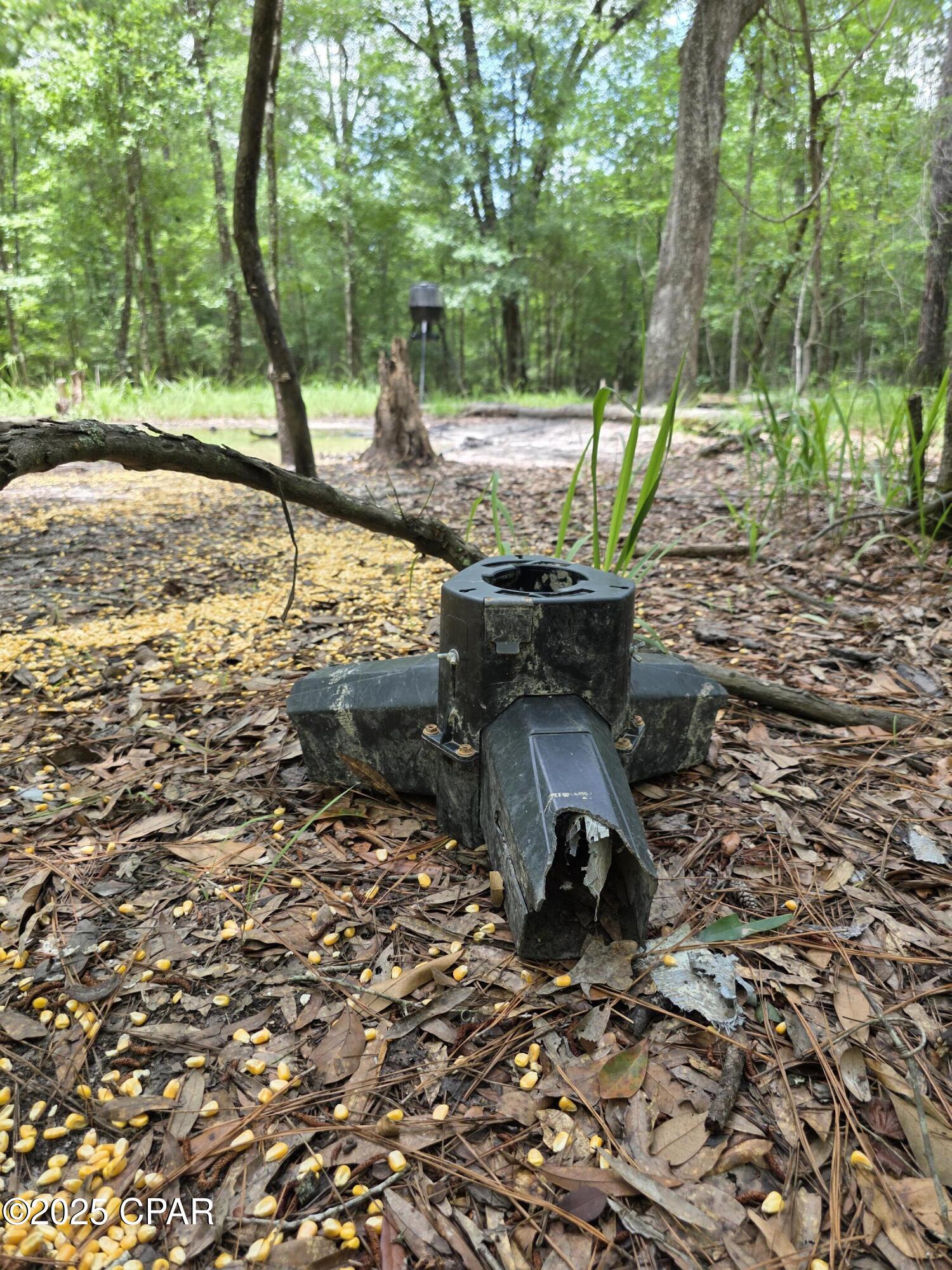 0 River Road Bascom, FL 32423 - Photo 17 of 20