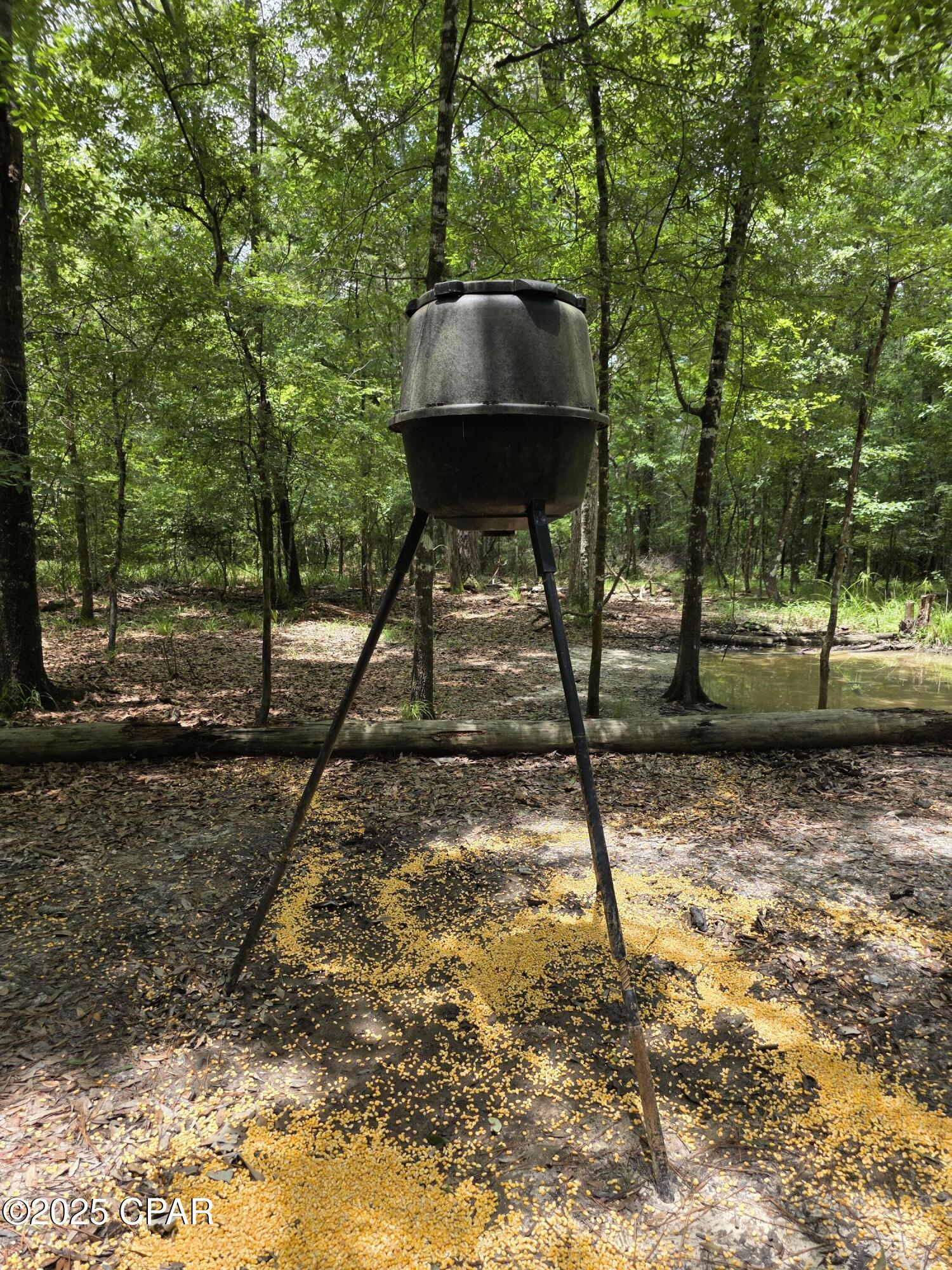 0 River Road Bascom, FL 32423 - Photo 18 of 20