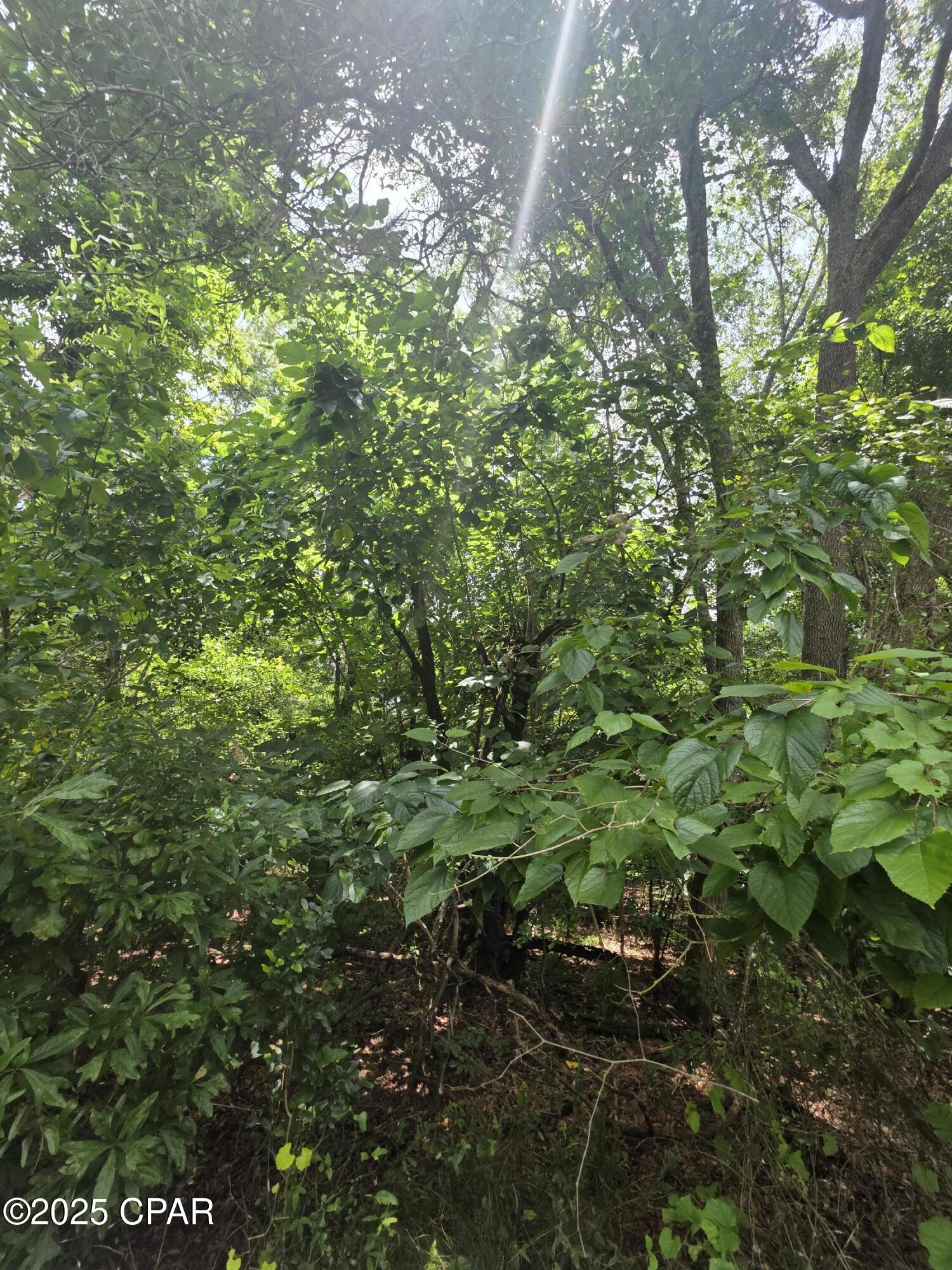 0 River Road Bascom, FL 32423 - Photo 20 of 20