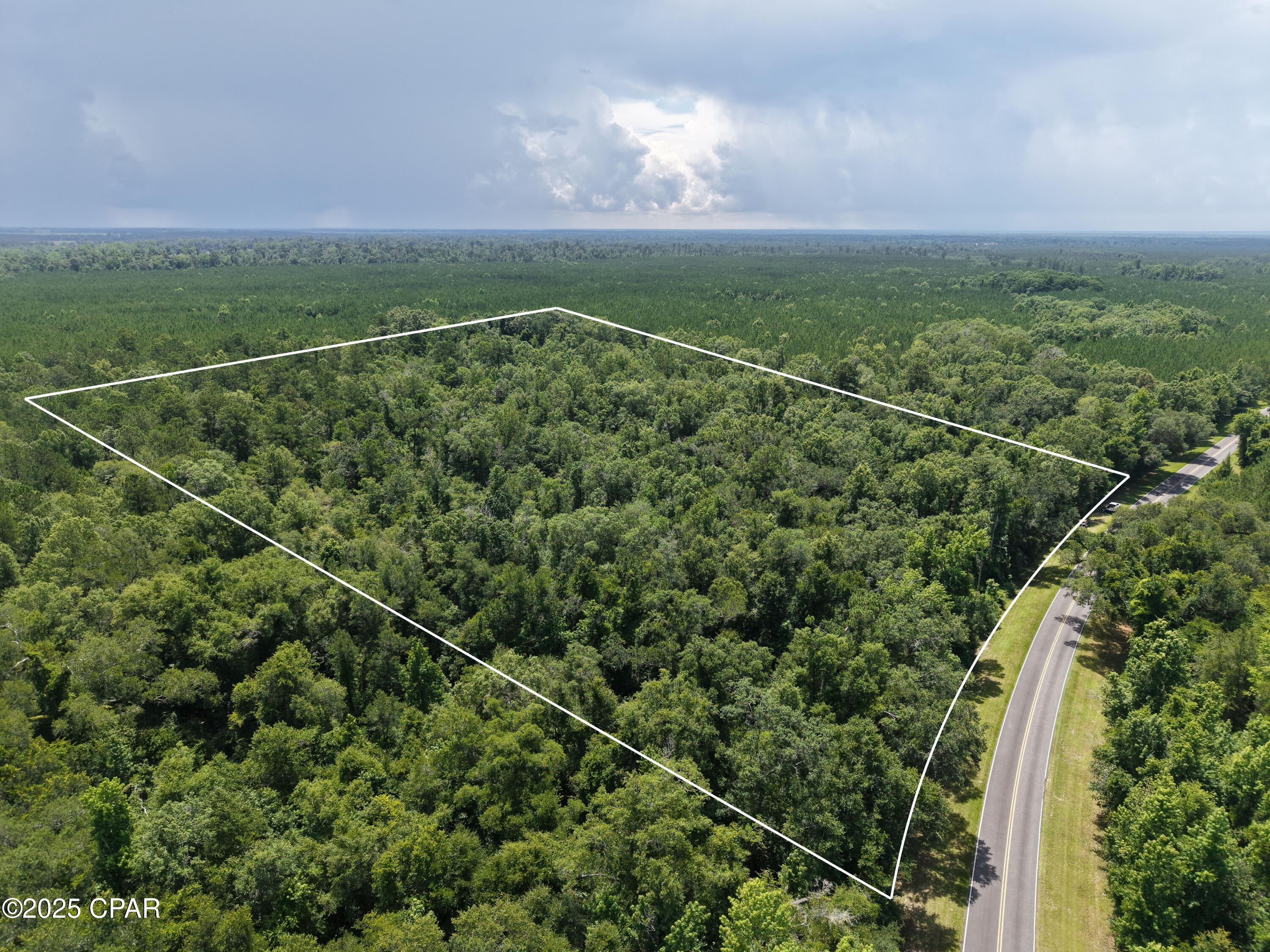 0 River Road Bascom, FL 32423 - Photo 2 of 20