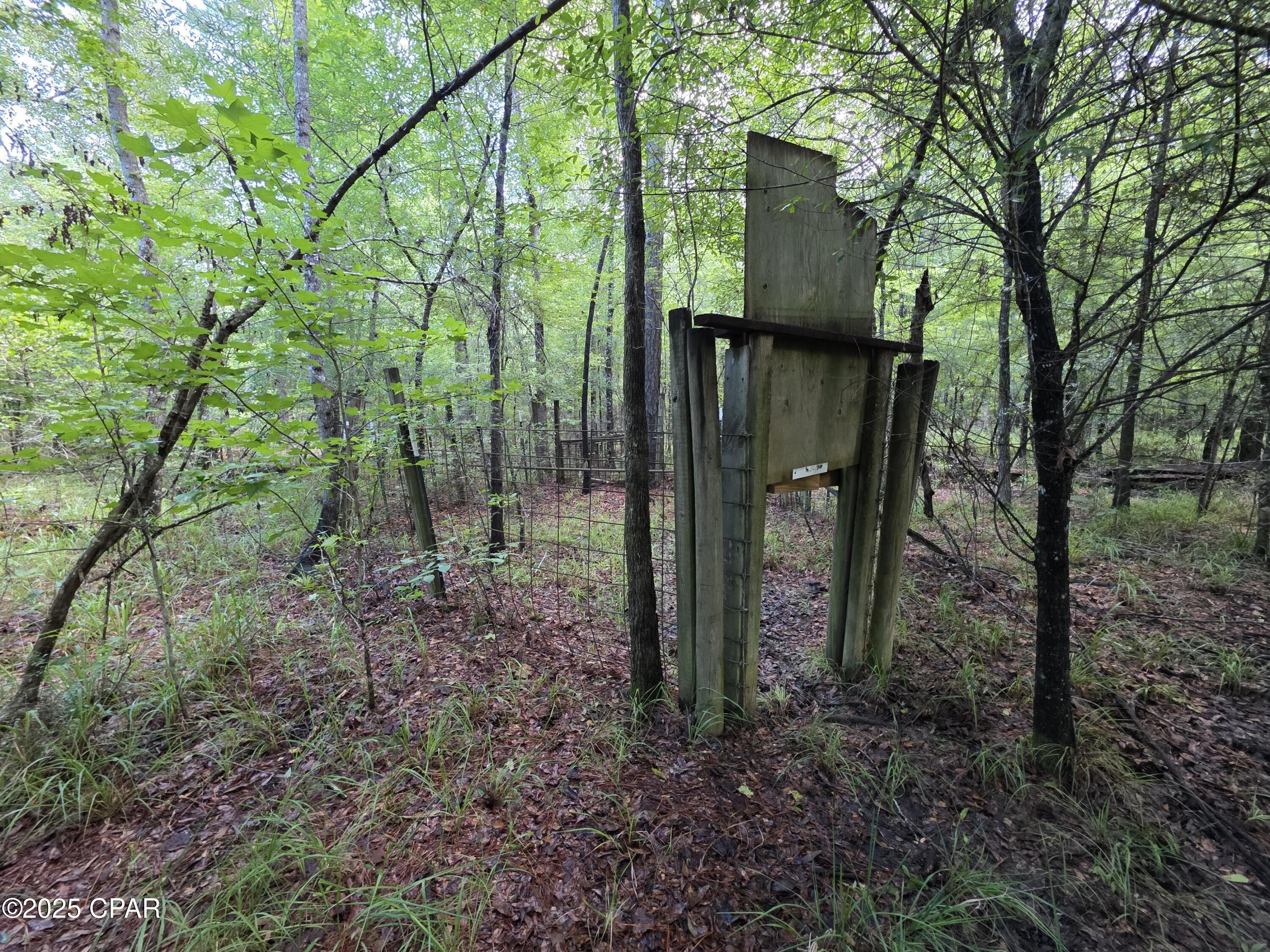 0 River Road Bascom, FL 32423 - Photo 3 of 20