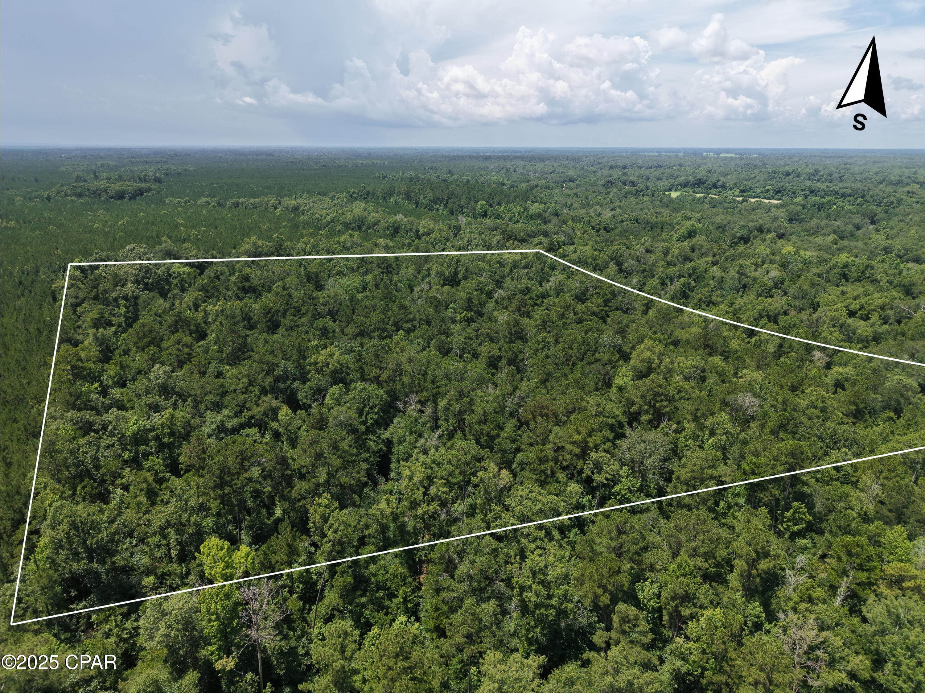 0 River Road Bascom, FL 32423 - Photo 4 of 20