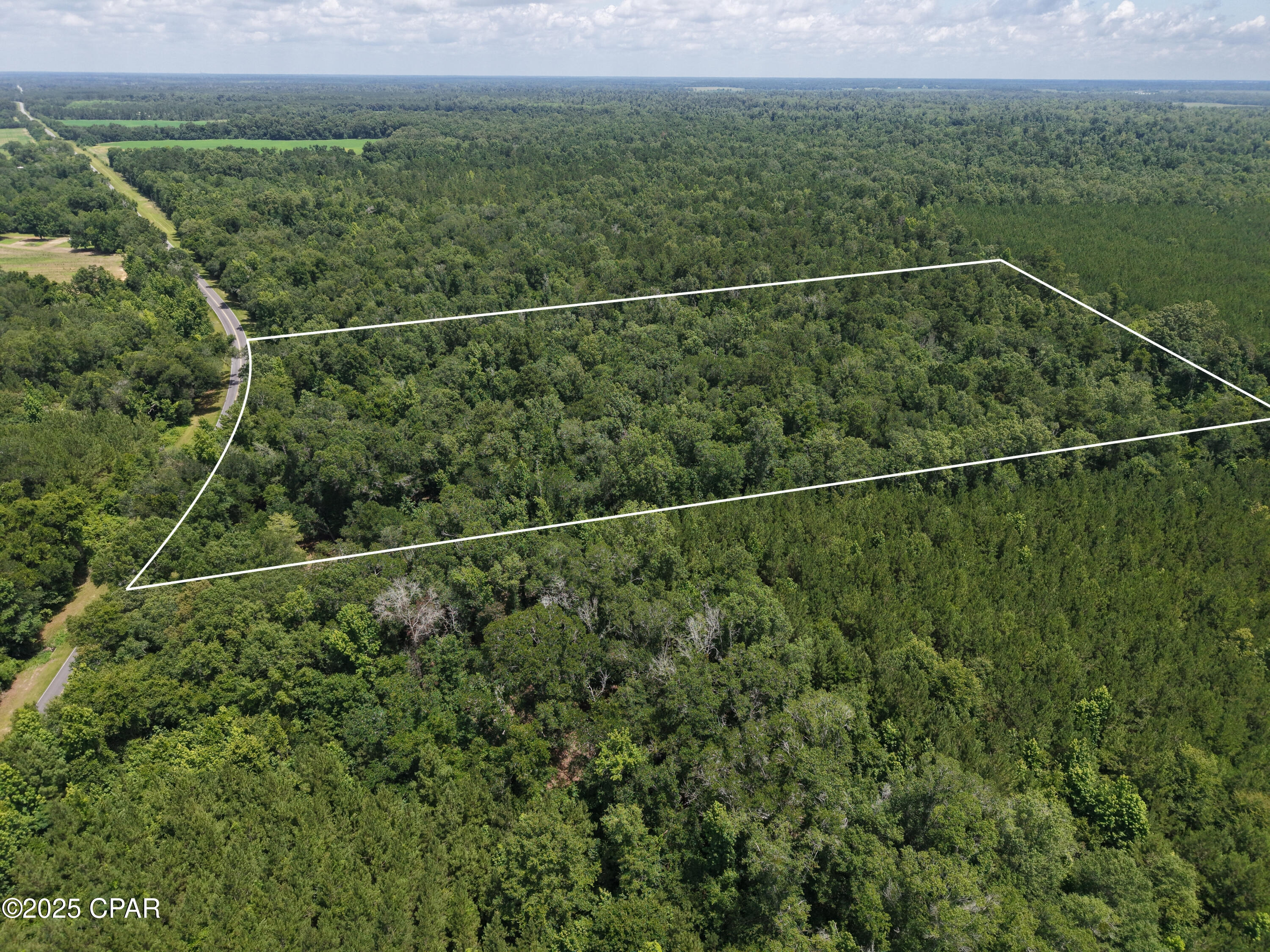 0 River Road Bascom, FL 32423 - Photo 5 of 20