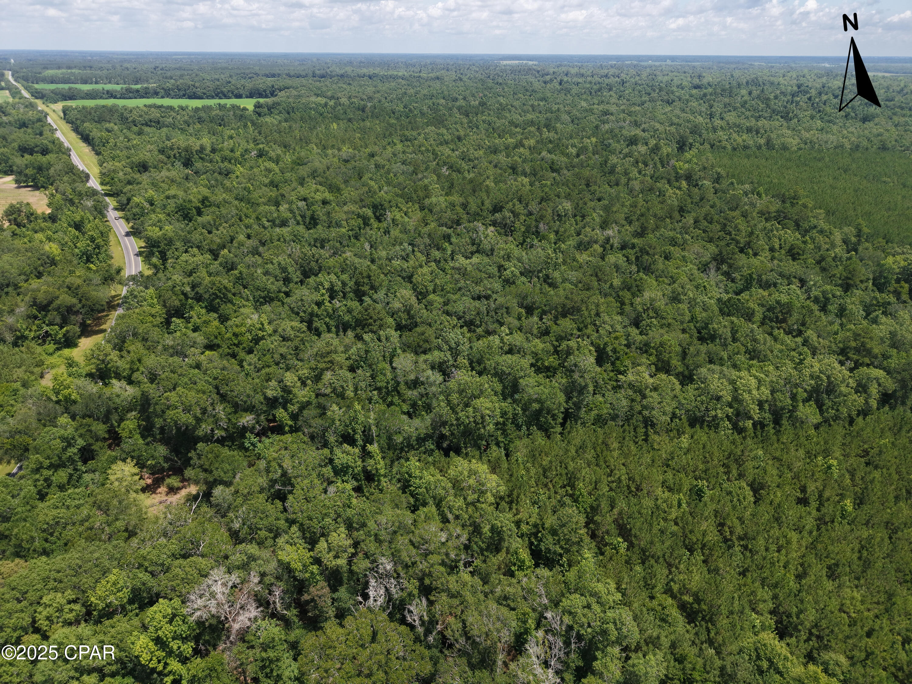 0 River Road Bascom, FL 32423 - Photo 6 of 20